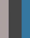 GREY/FUME/BLUE