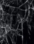 BLACK MARBLE