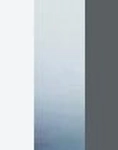 HUMO