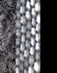FAUX-FUR SNAKE PRINTED FABRIC