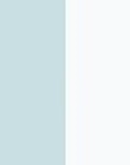 ALLUMINIUM/WHITE
