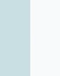 ALLUMINIUM/WHITE