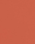 RUSTY ORANGE