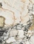 SYMPHONIE