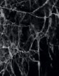 GLOSSY Marmo Rotondo KAR04589MN
