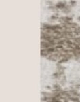 IVORY/FANCY WHITE-BEIGE