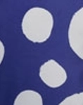 BLUE/POIS