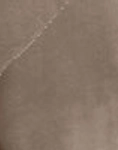 TAUPE VELVET