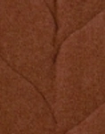 RUSSET
