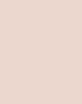 TAUPE SUNBRELLA