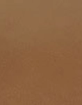 ASIA LEATHER divano 2 posti KAR07279BC