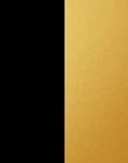 SCHWARZES/GOLD