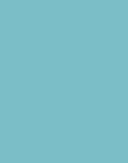 SMALL FL/Y KAR09054K2