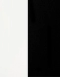 WHITE BLACK