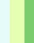 MENTA