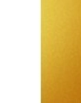 WHITE/GOLD WHITE/GOLD