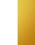 WHITE/GOLD