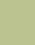 VERT MENTHE