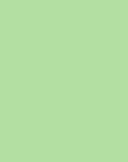 PIUMA - KIT 4 PIEDINI VERDE SALVIA KARS58020VE