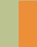 GREEN ORANGE
