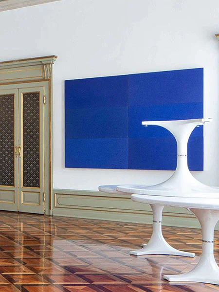 Rodolfo Aricò/Anna Castelli Ferrieri. The love for the project